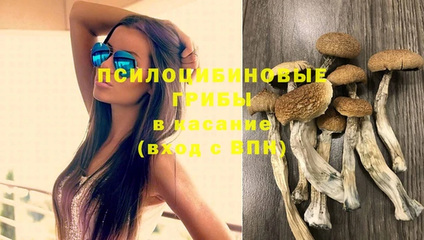 а пвп мука Алексеевка
