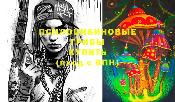 стаф Абаза