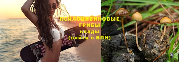 стаф Абаза