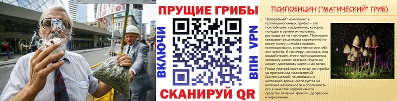 как найти закладки  Чехов  Галлюциногенные грибы прущие грибы 